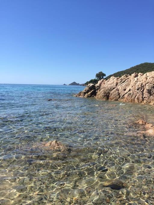F2 Vue Mer Dans Residence Avec Piscine Ajaccio  Esterno foto