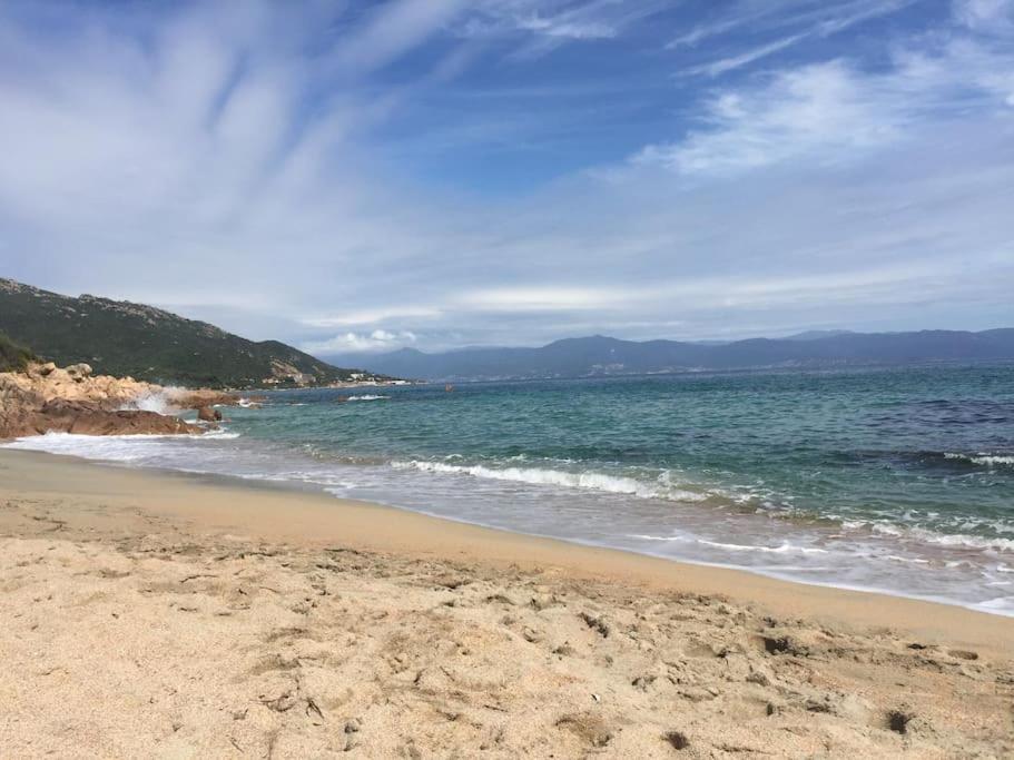 F2 Vue Mer Dans Residence Avec Piscine Ajaccio  Esterno foto