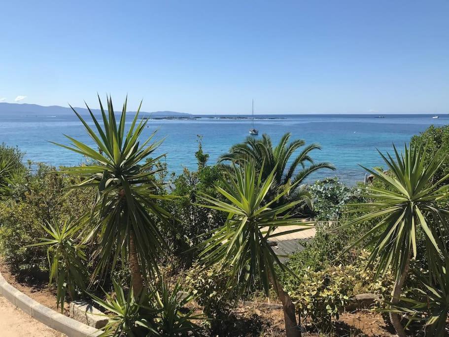 F2 Vue Mer Dans Residence Avec Piscine Ajaccio  Esterno foto